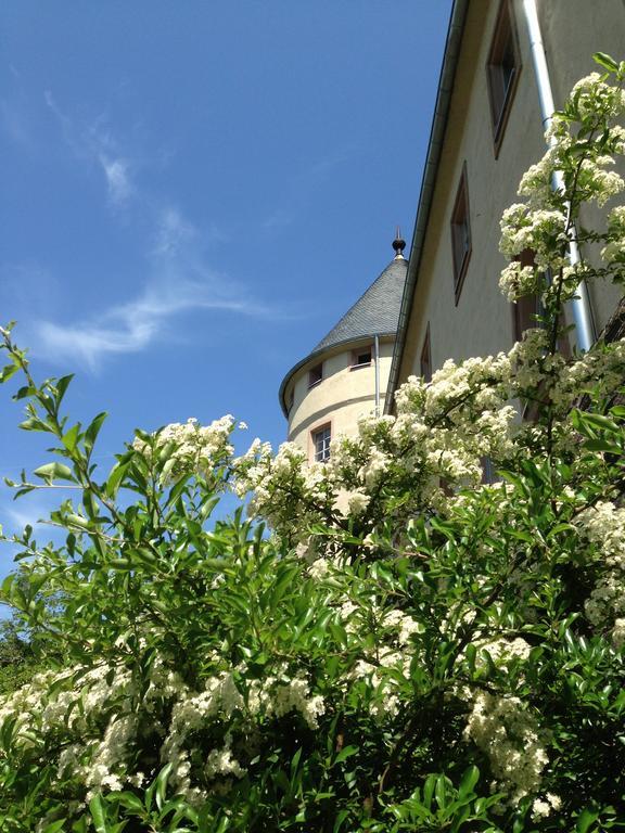 Ev.Familienferien-Und Bildungsstaette Ebernburg Hotel Bad Münster am Stein-Ebernburg Kültér fotó
