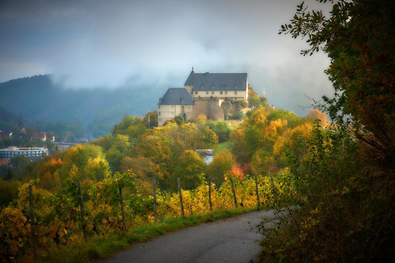 Ev.Familienferien-Und Bildungsstaette Ebernburg Hotel Bad Münster am Stein-Ebernburg Kültér fotó