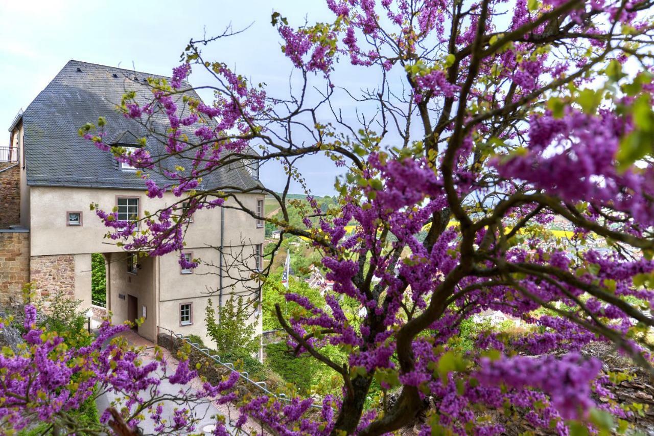 Ev.Familienferien-Und Bildungsstaette Ebernburg Hotel Bad Münster am Stein-Ebernburg Kültér fotó